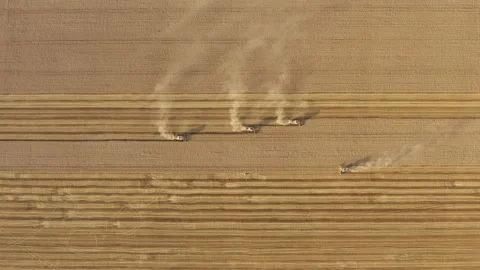 Harvest machines operating within huge agricultural farm Stock Footage 237216308