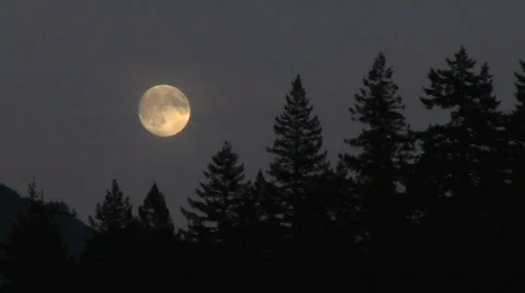 Harvest Moon Stock Footage 236830