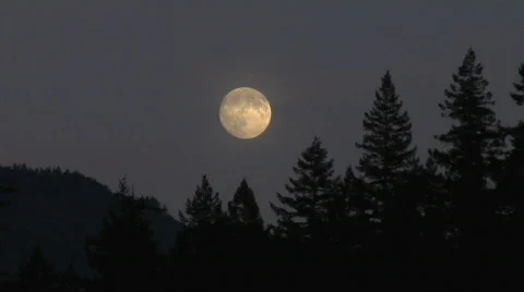 Harvest Moon frame centre Stock Footage 236610