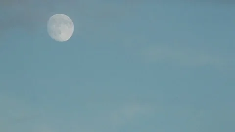 Harvest Moon in light evening summer sky Stock Footage 75016552