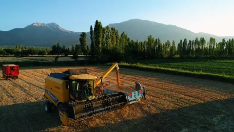 Harvest Operation Stock Footage 340779291