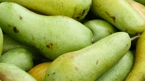 The harvest of pears Stock Footage 92092648