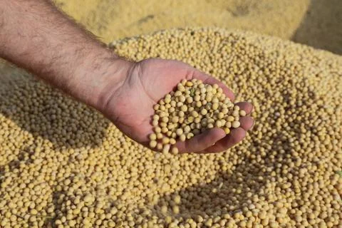 Harvest Stockfoto's