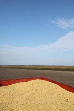 Harvest Stock Photos