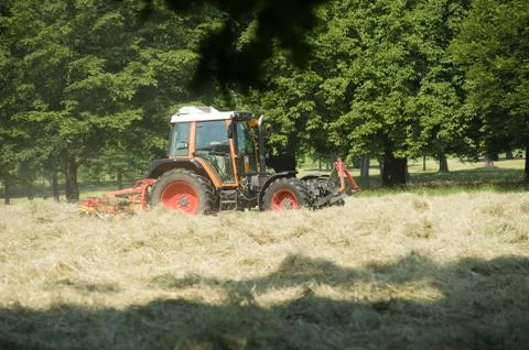 Harvest Stock Photos