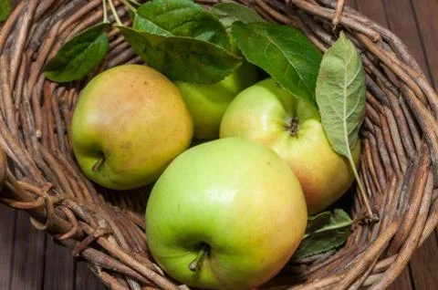 Harvest Stock Photos