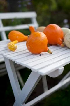 Harvest Stock Photos