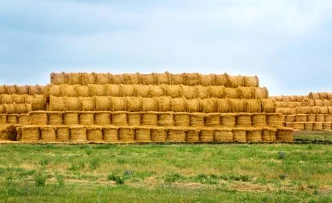 Harvest Foto stock