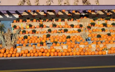 Harvest Stock Photos