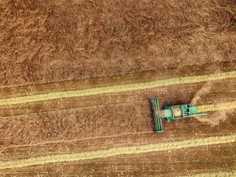 Harvest Foto stock