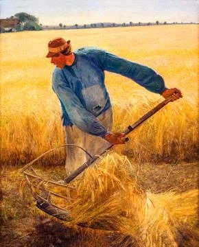 Harvest.. Stock Photos