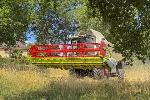 Harvest Stock Photos