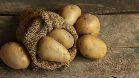 Harvest potato Video stock 79671394