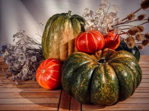 Harvest, prepare for Halloween. Large green and slmall orange autumn pumpkins Stock Photos