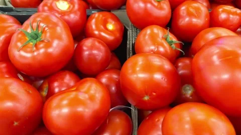 Harvest of red fresh tomatoes Stock Footage 246773290
