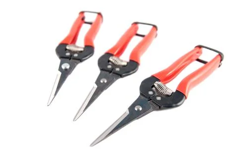 Harvest shears Stock Photos