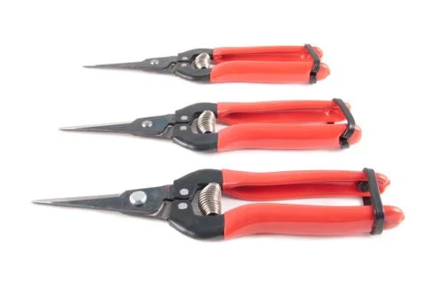 Harvest shears Stock Photos