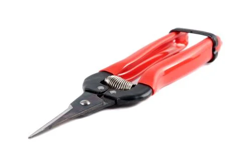 Harvest shears Stock Photos