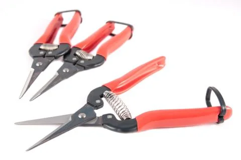 Harvest shears Stock Photos