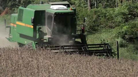 Harvest soybean field 動画素材 51302282