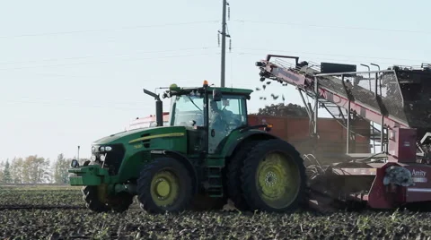 The harvest of sugar beet 库存影片 62744085