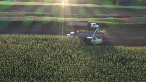 Harvest sunset drone  Stock Footage 161114911