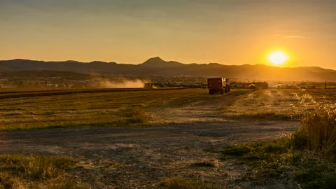 Harvest &amp; sunset Stock Footage 149996193