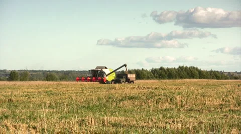 Harvest time Stockbeeldmateriaal 1509802