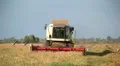 Harvest time HD Footage