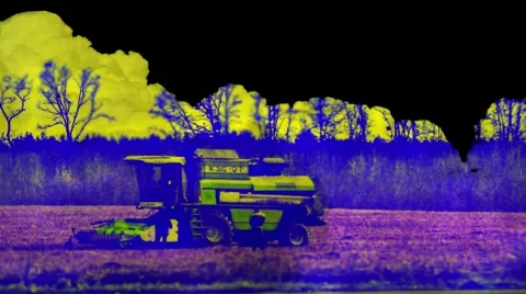 Harvest time Stock-Footage 46370562