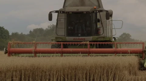 HARVEST TIME Stock-Footage 46621826