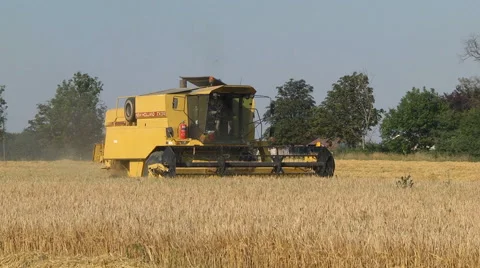 Harvest time Stock Footage 46661136