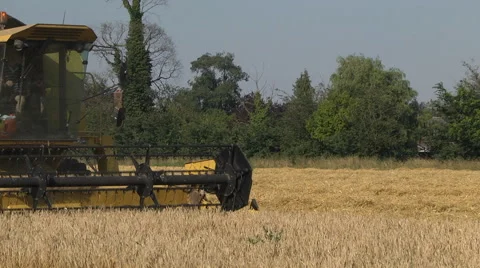 Harvest time Stock Footage 46662622