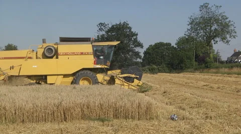 Harvest time Stock Footage 46664586