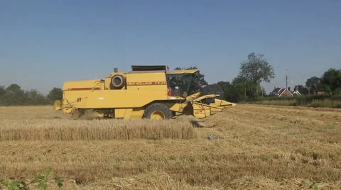Harvest time Stock Footage 46689663