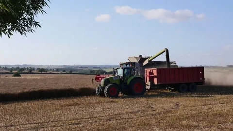 Harvest time Stock Footage 71044051