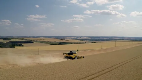 Harvest time Stock Footage 77467073