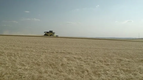 Harvest time Stock Footage 77467104