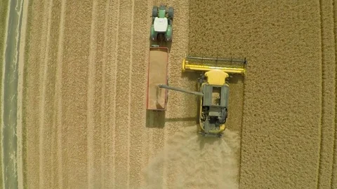 Harvest time Stock Footage 77467162