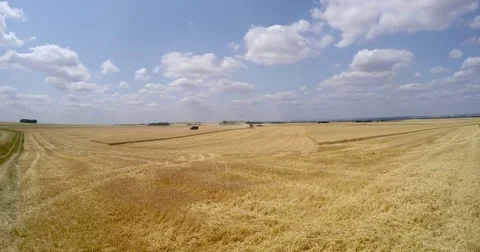 Harvest time lapse Stock Footage 77467351