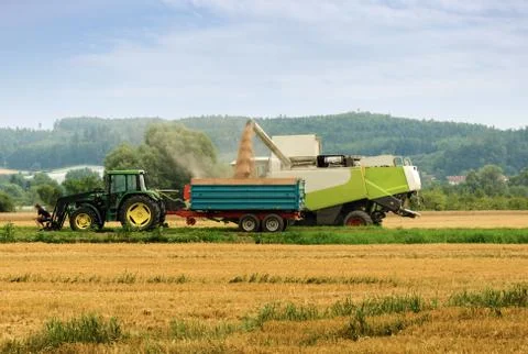 Harvest time Stock Photos