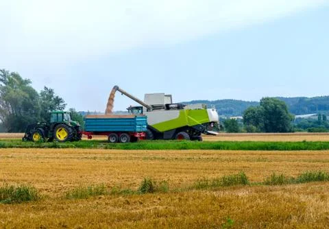 Harvest time Stock Photos