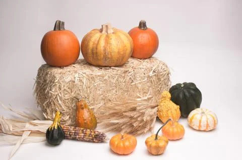 Harvest time Foto stock