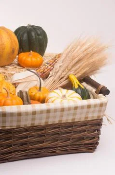 Harvest time Stock Photos