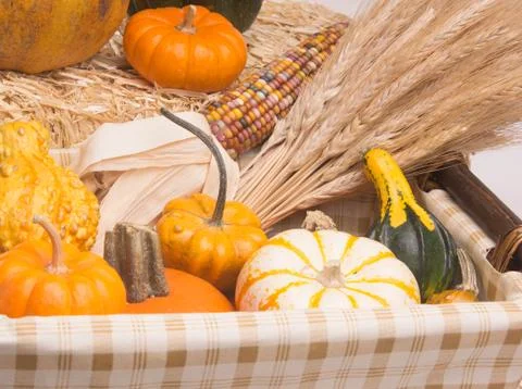 Harvest time Stock Photos