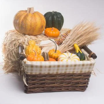 Harvest time Stock-Fotos