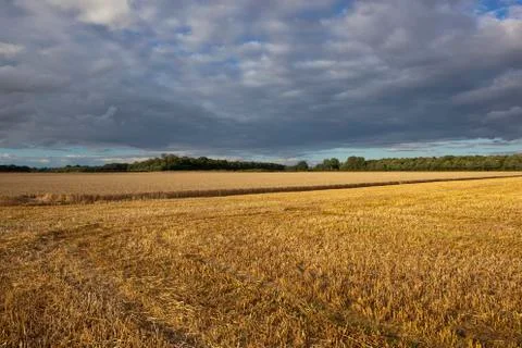 Harvest time Stock Photos