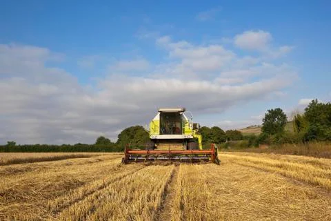 Harvest time Stock Photos