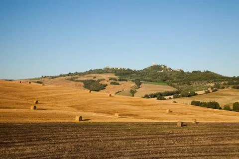 Harvest time 스톡 사진