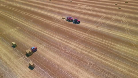 Harvest time slow circular drone footage, wide shot Stock-Footage 280933887